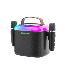 Boxă portabilă NewRiXing R-8805W, 13W, 2400mAh, negru