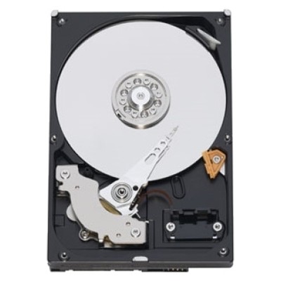 1TB Western Digital Caviar Blue WD10EZEX