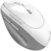 Mouse Wireless Genius Ergo 8350S, 2400 DPI, Bluetooth + 2.4GHz, Silent, White Grey