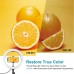 Lampa LED Ring PULUZ 10.2 inch (26cm) cu Suport de Birou si Clema Telefon